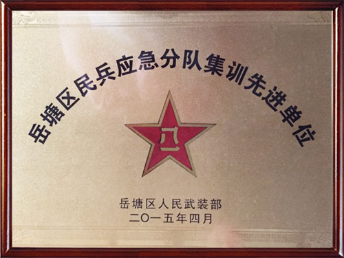 岳塘區民兵應急分隊集訓先進單位