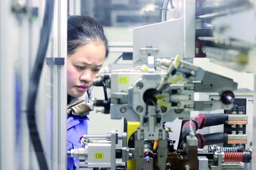 開門紅 諸暨企業(yè)吹響沖鋒號(hào) 軟件開發(fā)行業(yè)迎來新機(jī)遇